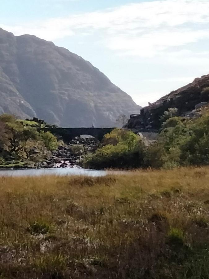 Larkfield House B&B, Ballycasheen Kerry V93 Wd51 Killarney Exteriér fotografie