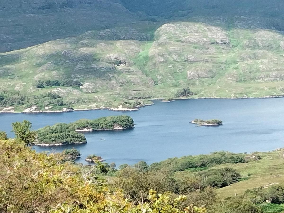 Larkfield House B&B, Ballycasheen Kerry V93 Wd51 Killarney Exteriér fotografie