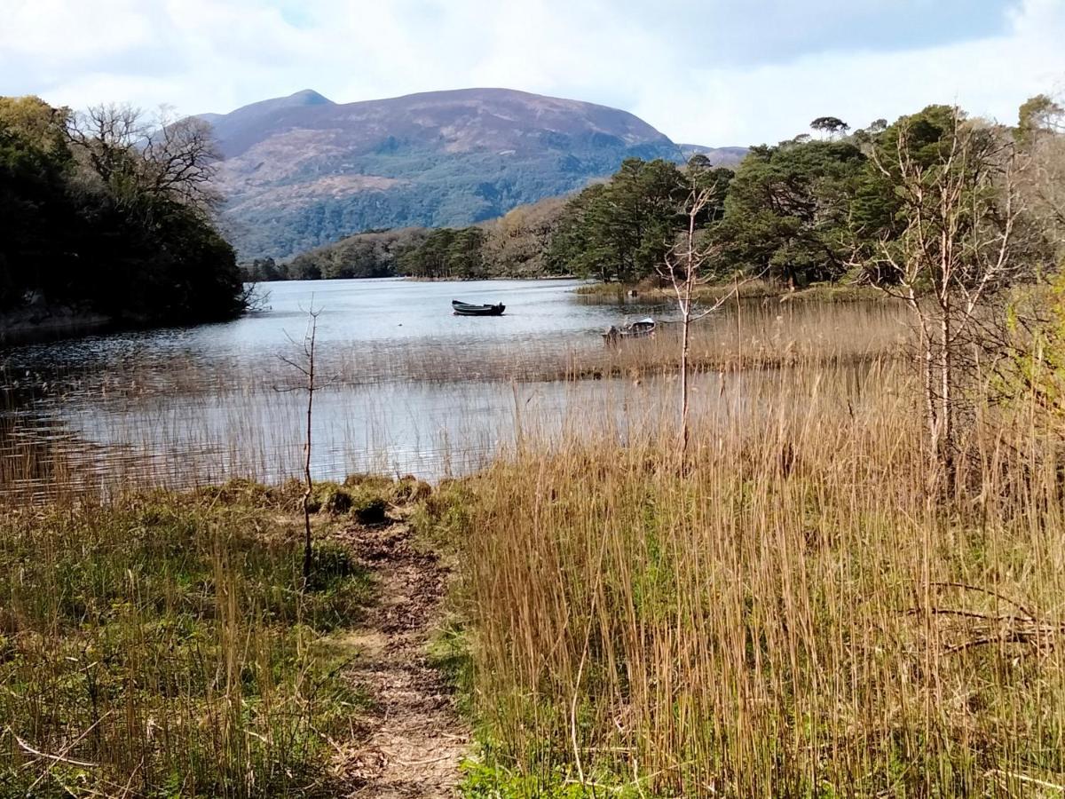 Larkfield House B&B, Ballycasheen Kerry V93 Wd51 Killarney Exteriér fotografie