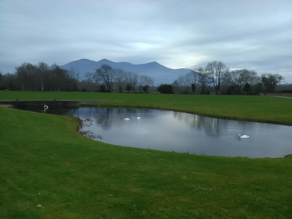 Larkfield House B&B, Ballycasheen Kerry V93 Wd51 Killarney Exteriér fotografie