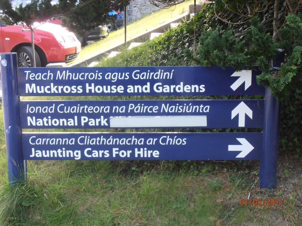 Larkfield House B&B, Ballycasheen Kerry V93 Wd51 Killarney Exteriér fotografie