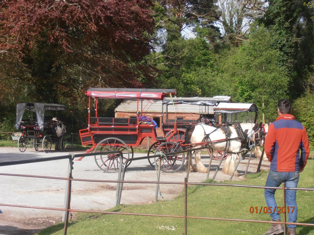 Larkfield House B&B, Ballycasheen Kerry V93 Wd51 Killarney Exteriér fotografie