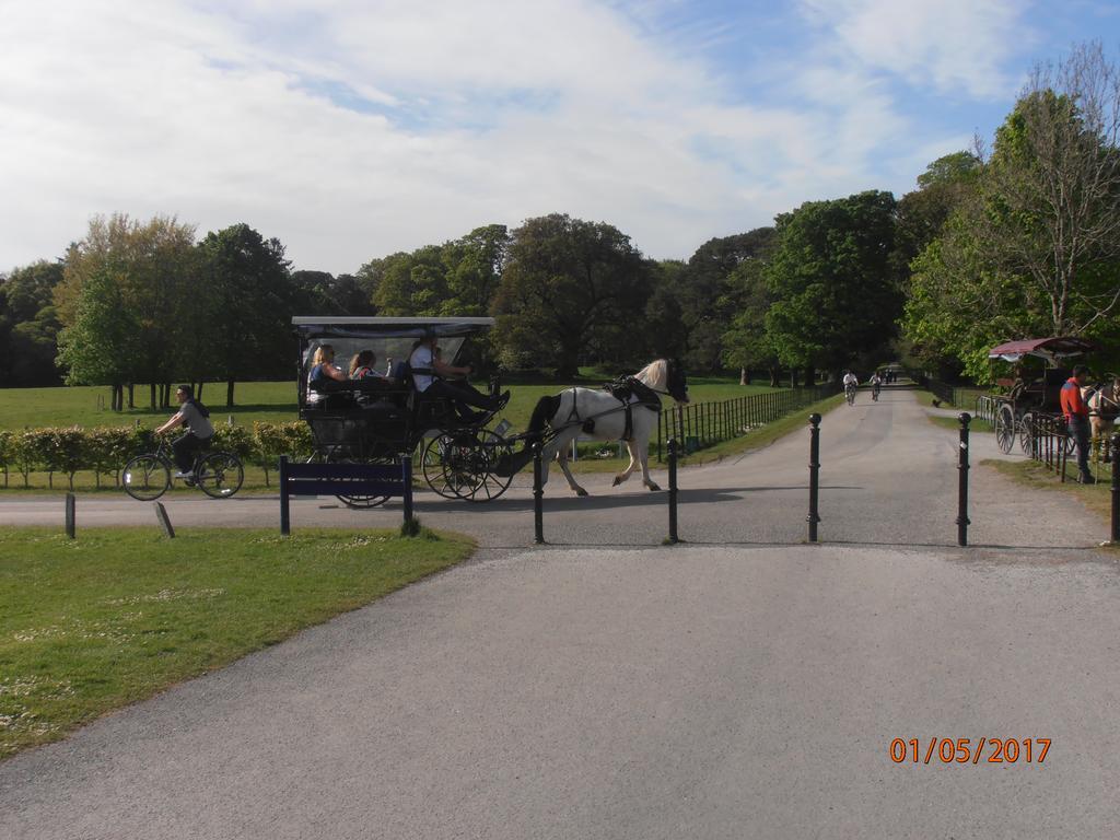 Larkfield House B&B, Ballycasheen Kerry V93 Wd51 Killarney Exteriér fotografie
