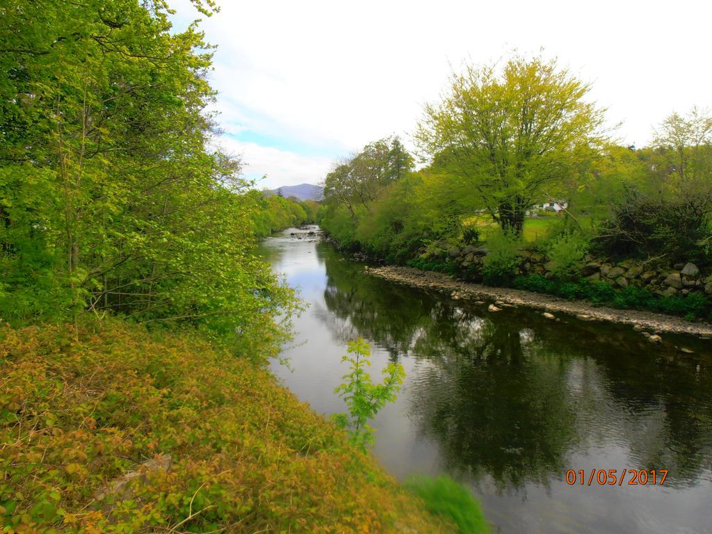 Larkfield House B&B, Ballycasheen Kerry V93 Wd51 Killarney Exteriér fotografie