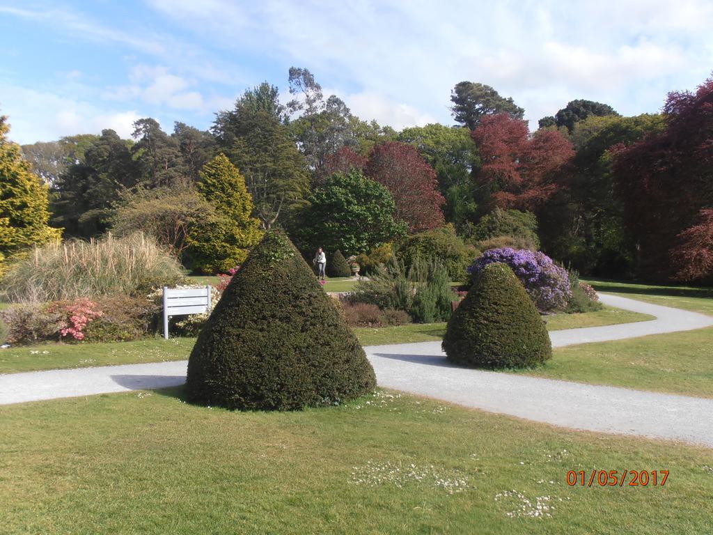 Larkfield House B&B, Ballycasheen Kerry V93 Wd51 Killarney Exteriér fotografie