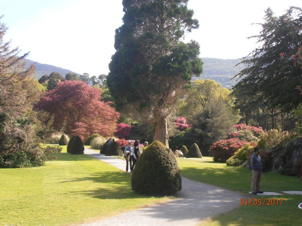 Larkfield House B&B, Ballycasheen Kerry V93 Wd51 Killarney Exteriér fotografie